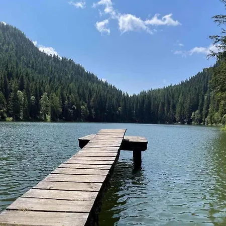 Grebenzen Alpenklang 64a Sankt Lambrecht